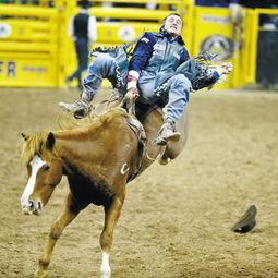 每日大赛牛仔,驰骋赛场，展现牛仔风采